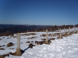Vue vers les montagnes de Saint-Maurice et sommets alsaciens du massif vosgien